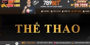 Saba Sports – Kênh kiếm tiền trực tuyến hàng đầu tại Châu Á