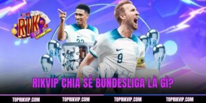 Bundesliga Là Gì? Khám Phá Giải Đấu Hấp Dẫn Nước Đức