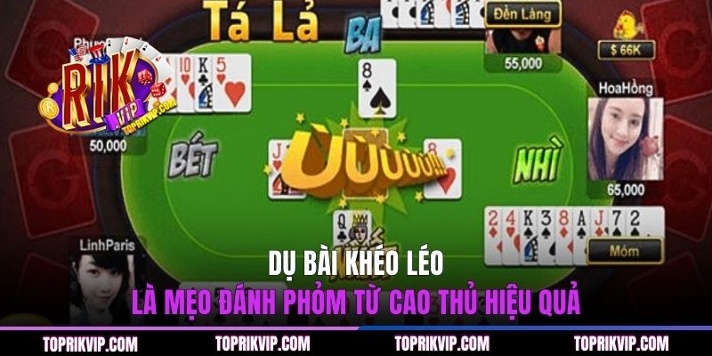 Mẹo Đánh Phỏm Từ Cao Thủ Giúp Bạn Thu Lợi Nhuận Hấp Dẫn 2 Dụ bài khéo léo là mẹo đánh Phỏm từ cao thủ hiệu quả