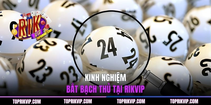 Cách Bắt Đề Bạch Thủ - Bí Kíp Chốt Số Chuẩn Từ RIKVIP 2 Kinh nghiệm bắt bạch thủ tại RIKVIP