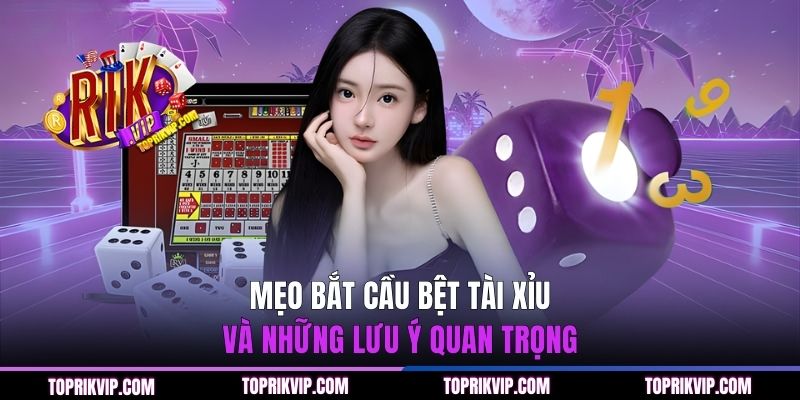 Bật Mí 4 Mẹo Bắt Cầu Bệt Tài Xỉu Chắc Thắng Cho Tân Thủ 3 Mẹo bắt cầu bệt Tài Xỉu và những lưu ý quan trọng