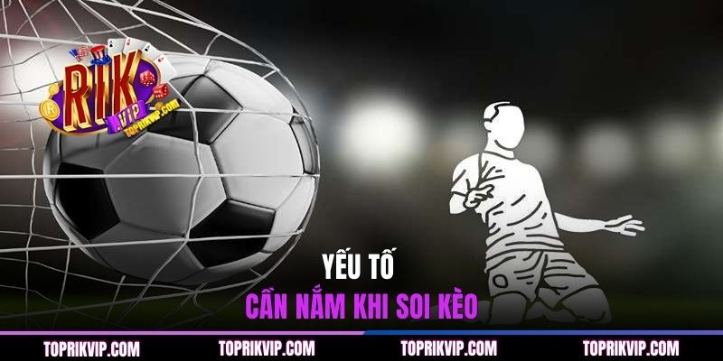 Yếu tố cần nắm khi soi kèo